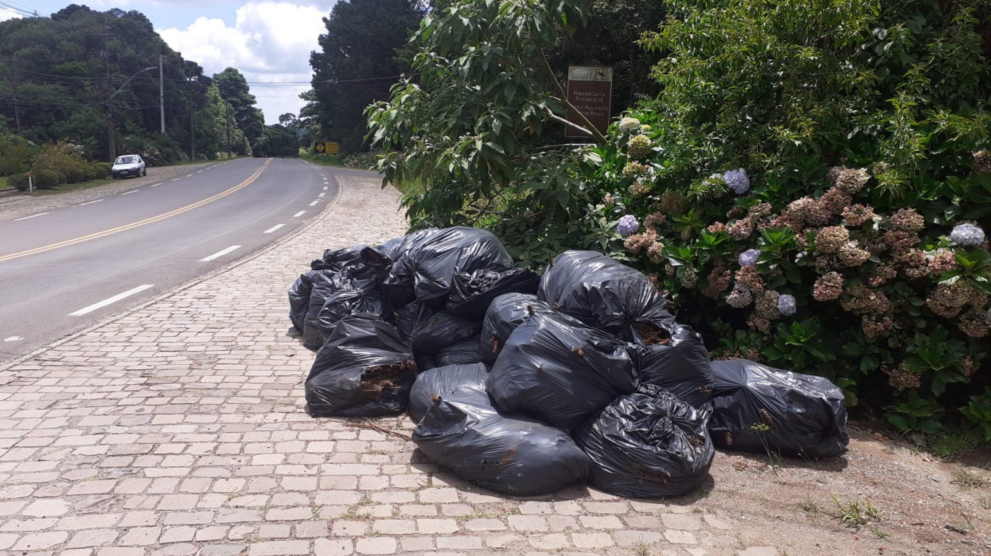 Nova empresa assume e coleta de resíduos verdes é retomada em Canela
