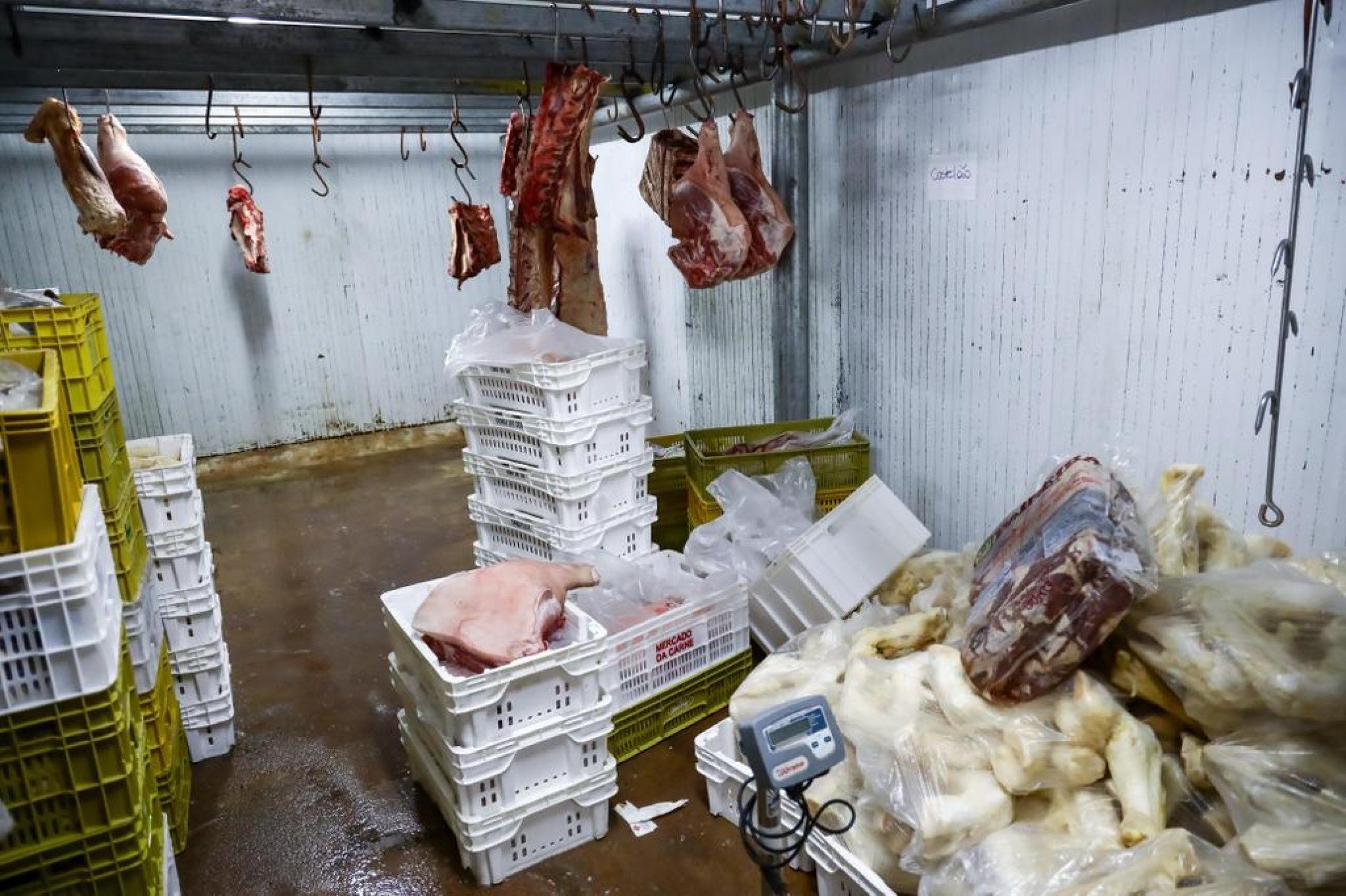 Na Semana Santa, ação integrada apreende 2,7 toneladas de pescados no Mercado Público