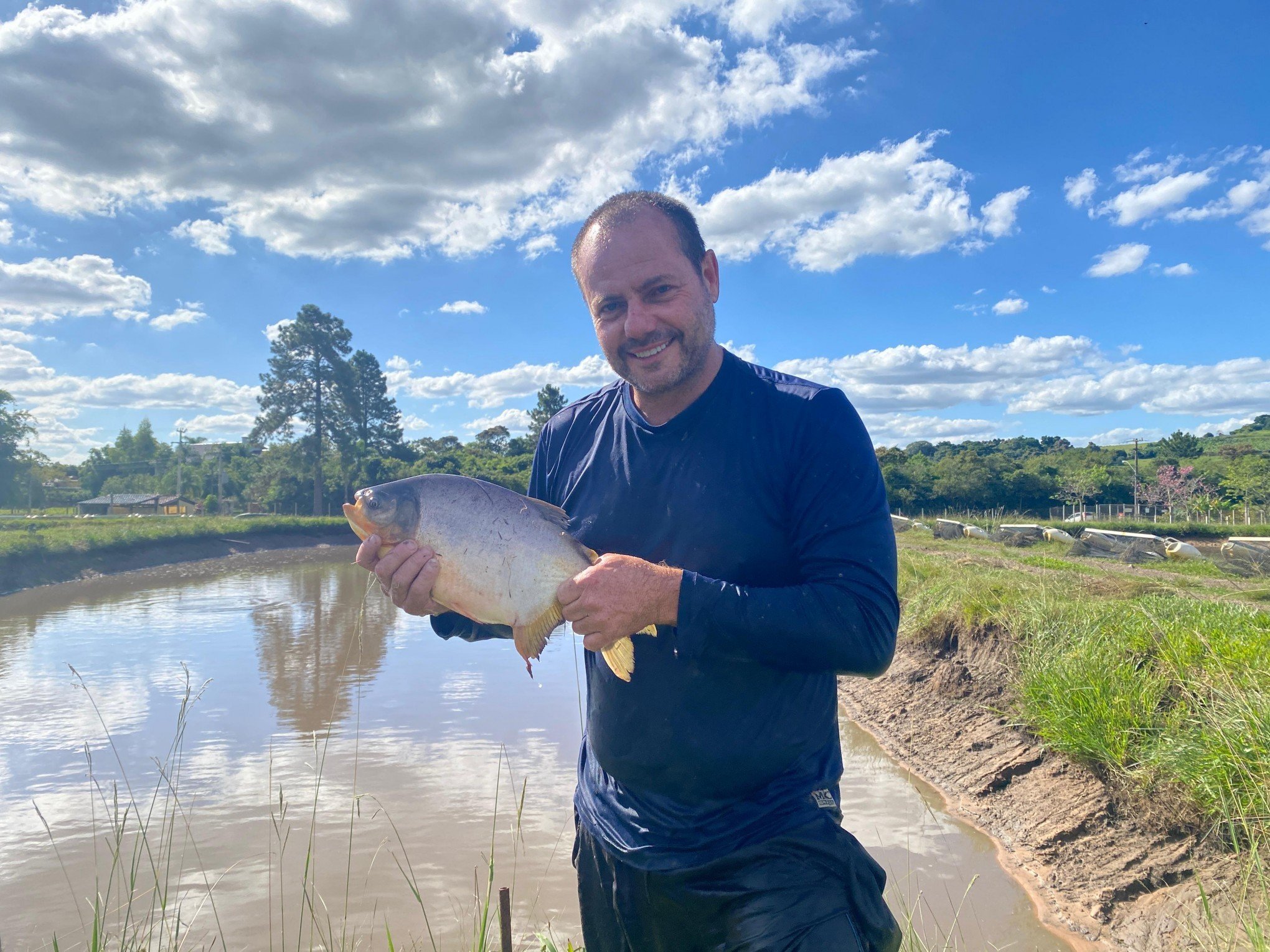 Despesca marca preparativos para a venda de peixes para a Sexta-feira Santa