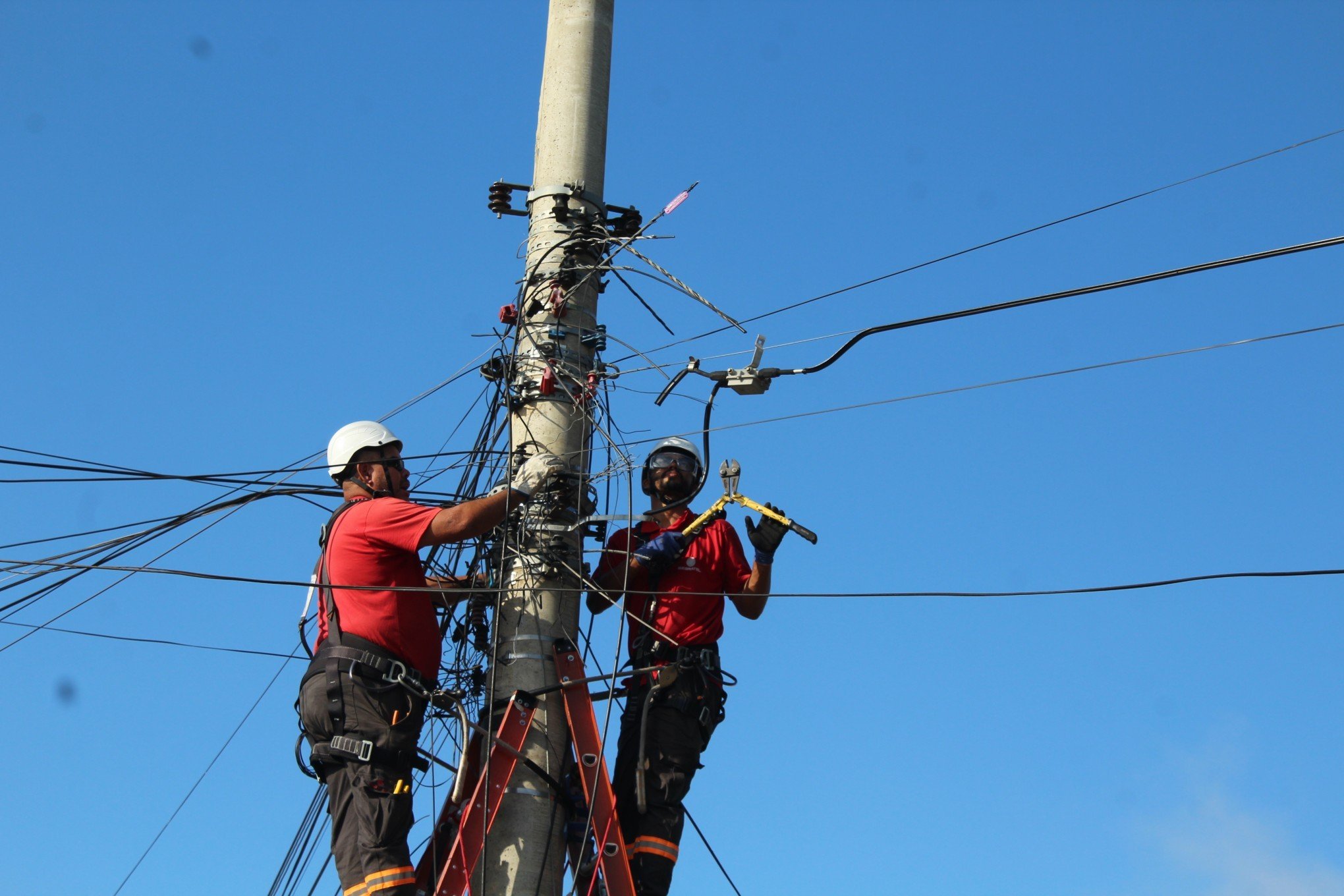 Remoção de fios e cabos emaranhados em postes de energia enfim recomeça em Canoas