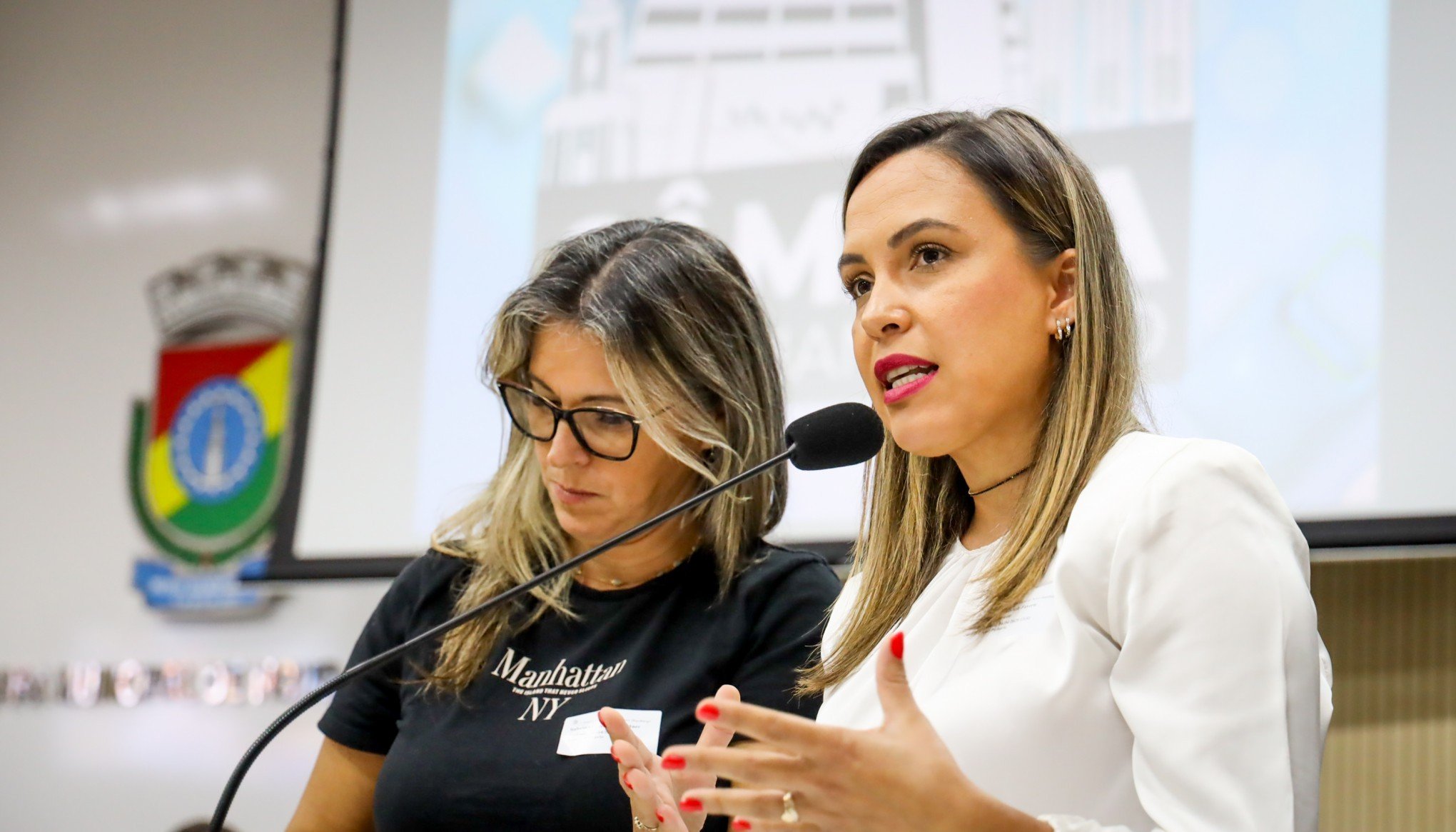Conselheiras tutelares defendem criação de um terceiro Conselho em Novo Hamburgo