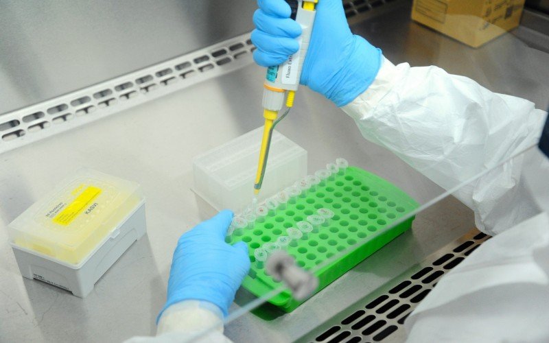 Laboratório de Microbiologia Molecular | abc+