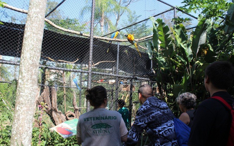Minizoo é fechado por tempo indeterminado