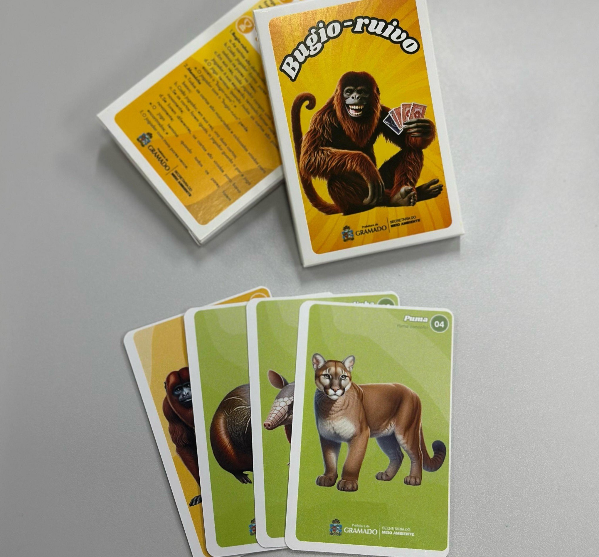 Gramado comemora Dia da Terra com lançamento de jogo de cartas que destaca fauna silvestre da cidade