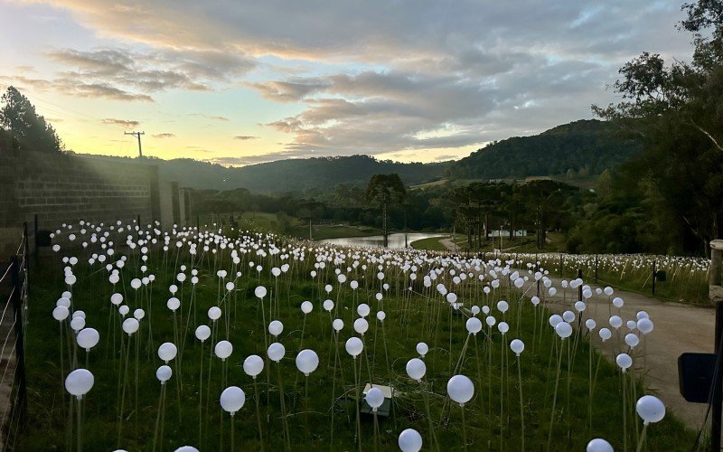 Lumni Experience é o parque temático de luzes de Gramado