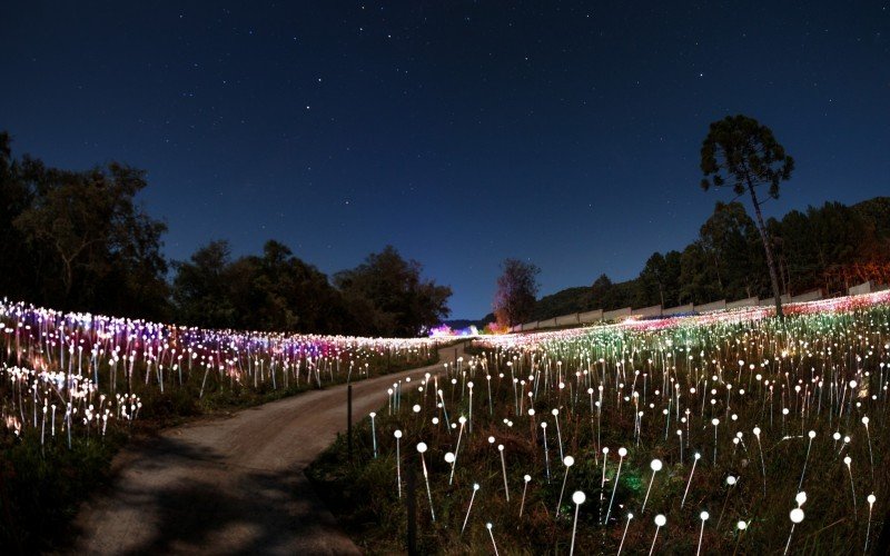Lumni Experience é o parque temático de luzes de Gramado