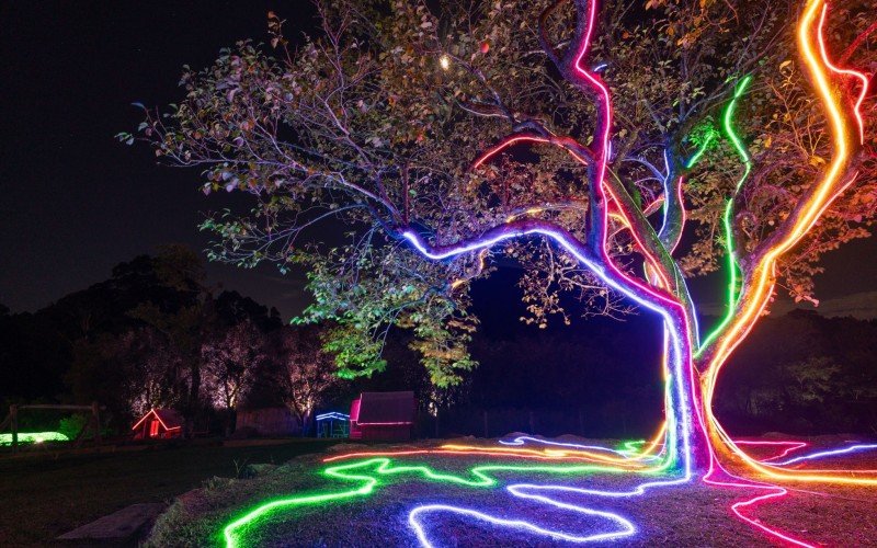 Lumni Experience é o parque temático de luzes de Gramado