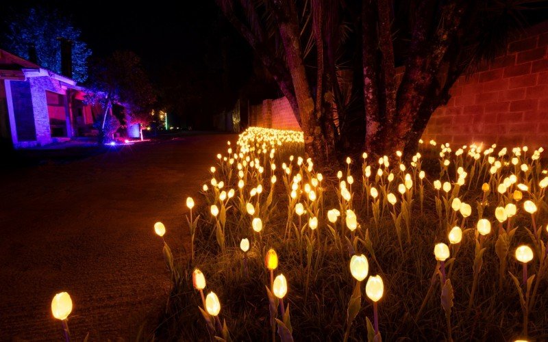 Lumni Experience é o parque temático de luzes de Gramado