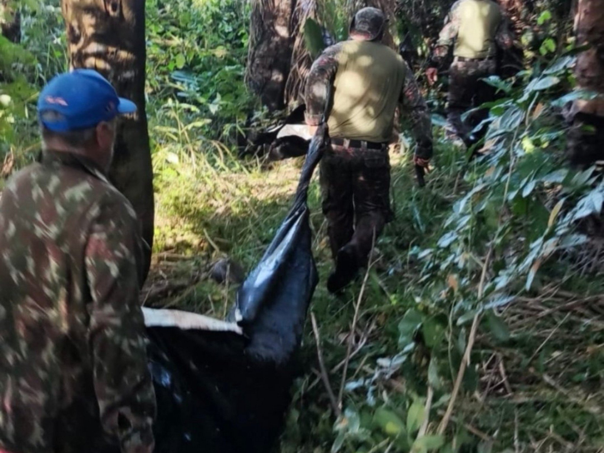IMAGENS FORTES: Equipe é atacada por onça enquanto fazia buscas por corpo de caseiro morto pelo animal