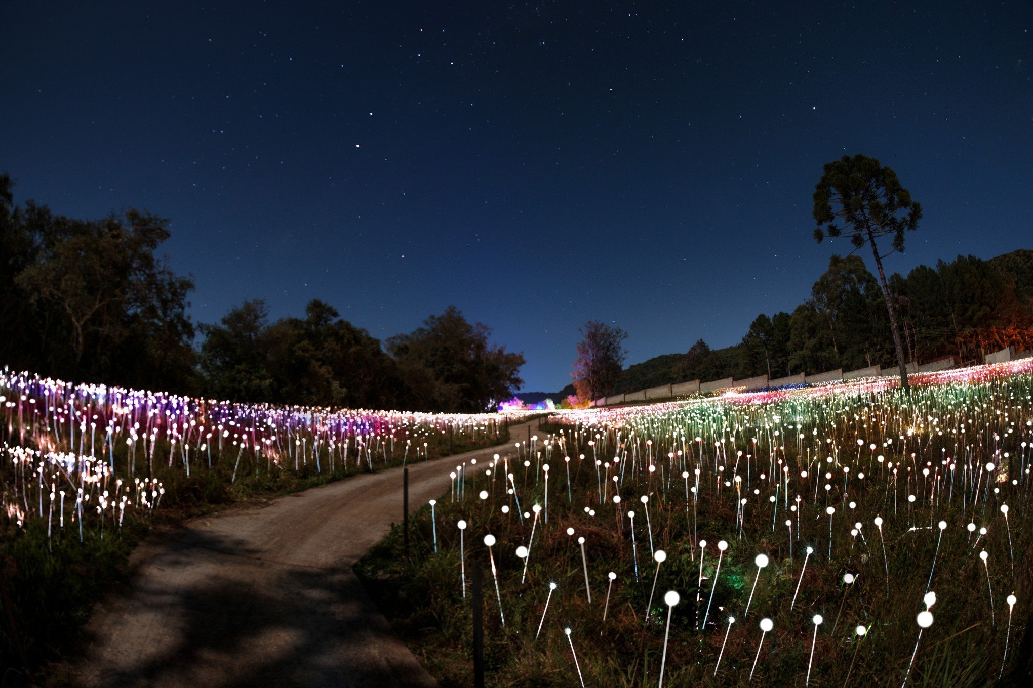 Parque temático de luzes em Gramado divulga data de inauguração e inicia venda de ingressos