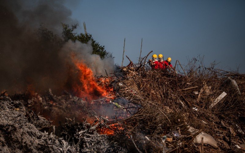 Fogo no Jorge Lanner começou no início da tarde, informou o Corpo de Bombeiros