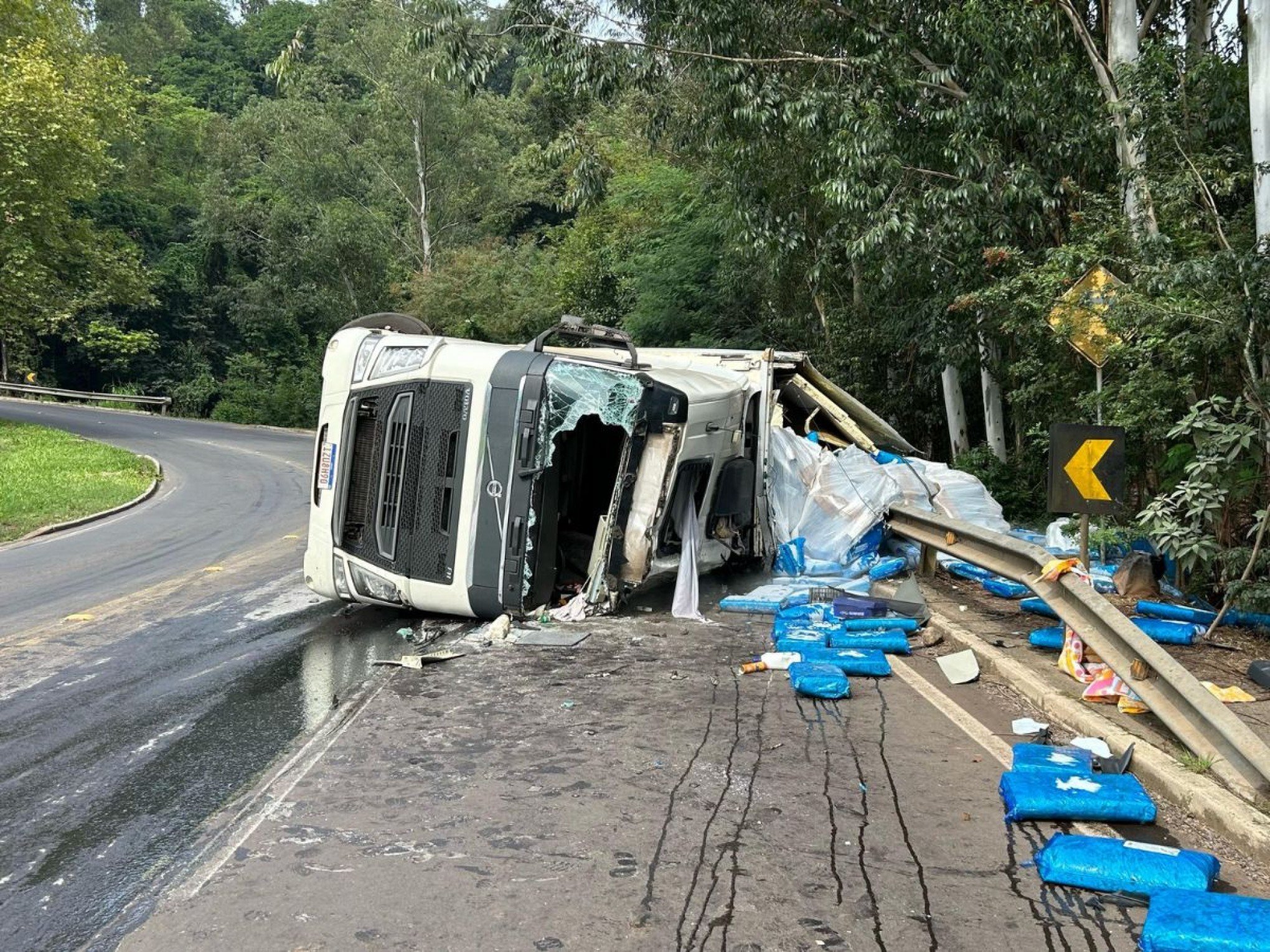 VÍDEO: Carreta carregada com 30 toneladas de pele de frango tomba em rodovia da região