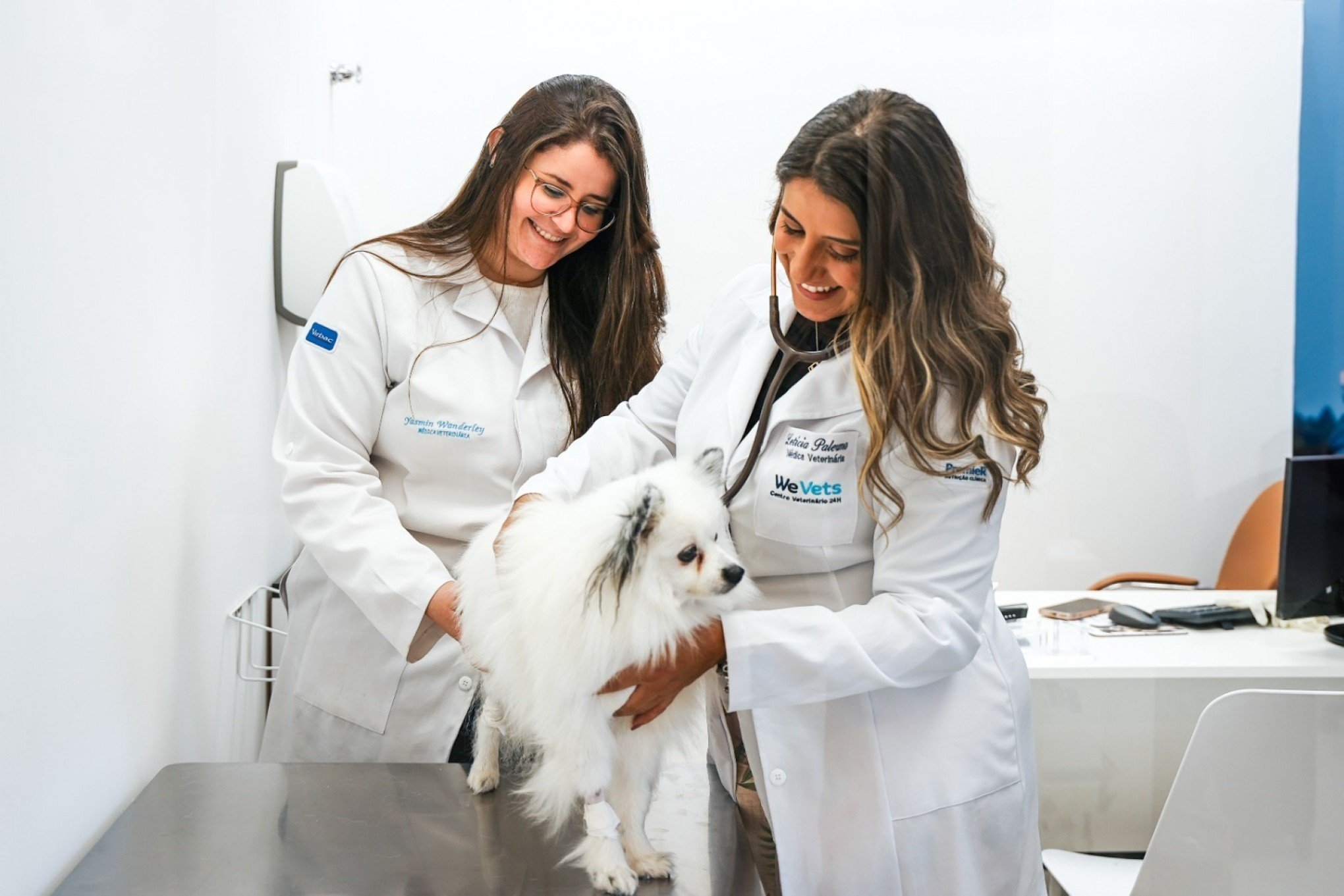 Conheça UTI pet que tem suporte respiratório 24h e histórico médico de cães e gatos