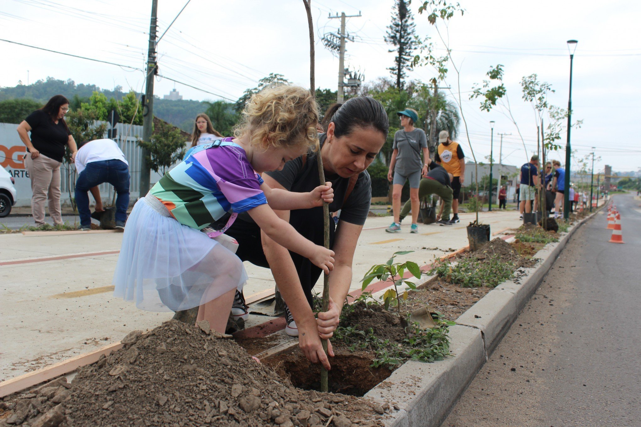 FOTOS: Plantio de árvores arboriza Avenida Presidente Vargas em Estância Velha