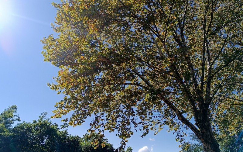 PREVISÃO DO TEMPO: Calor retorna nas próximas tardes; veja o que esperar das temperaturas no RS | abc+