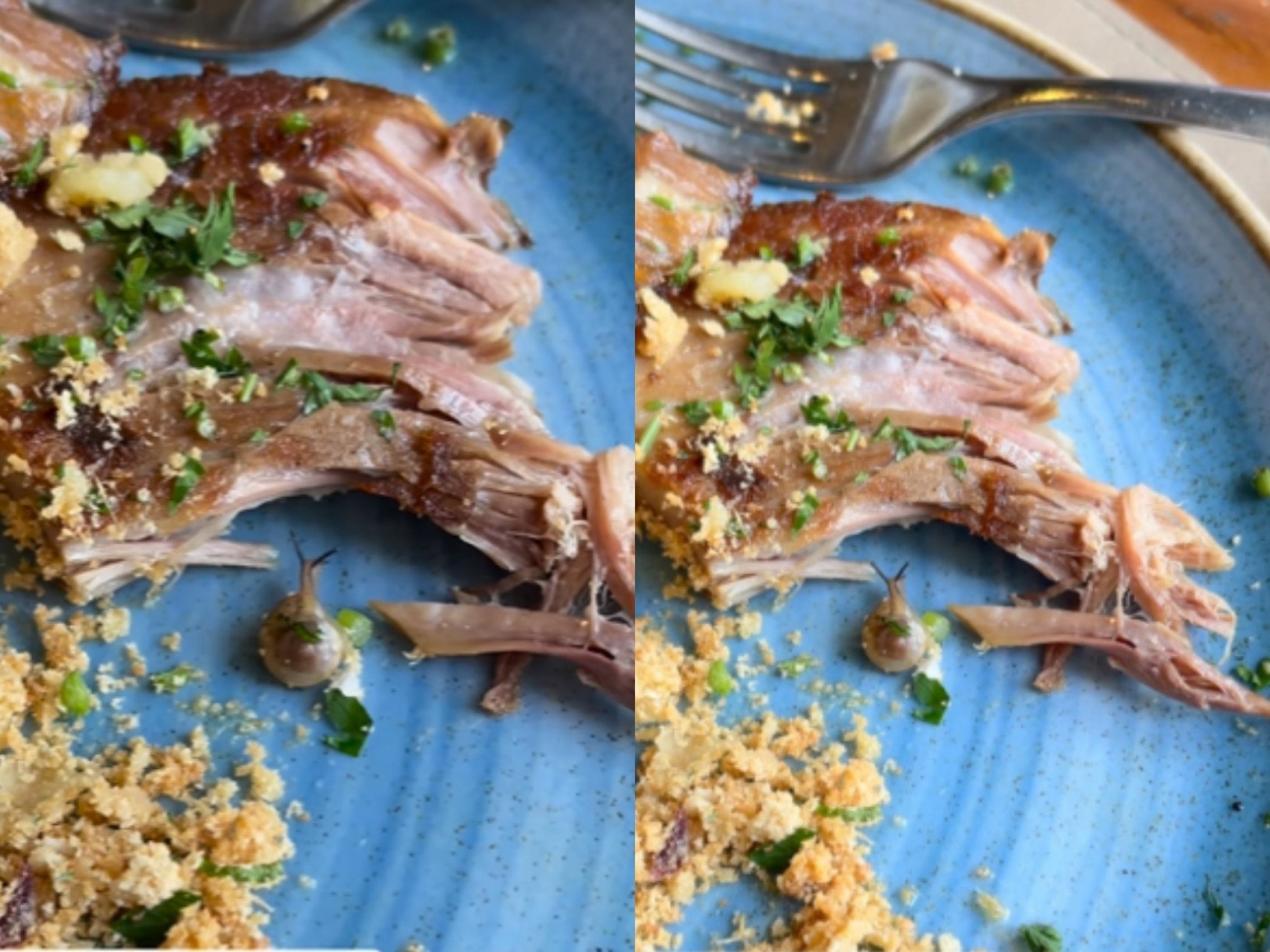 VÍDEO: Caramujo vivo na comida? Polêmica envolve restaurante de Henrique Fogaça e jurado do MasterChef se manifesta; entenda