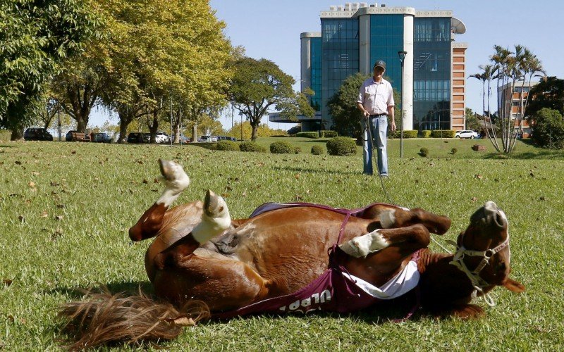  29/04/2025 CAVALO CARAMELO