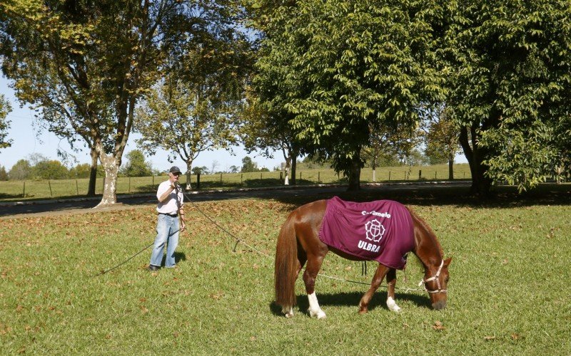  29/04/2025 CAVALO CARAMELO