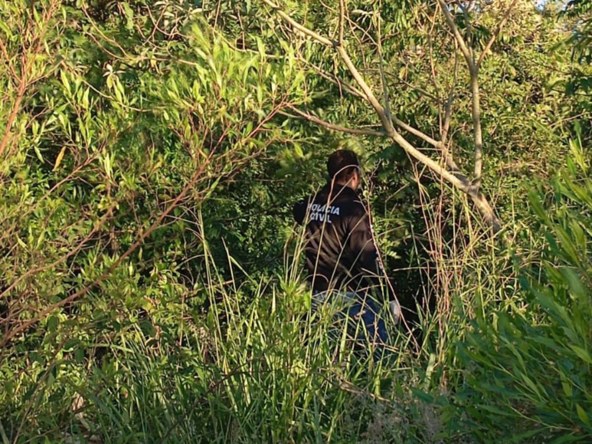 Homem é encontrado morto em área de mata; Polícia diz que havia lesões no corpo