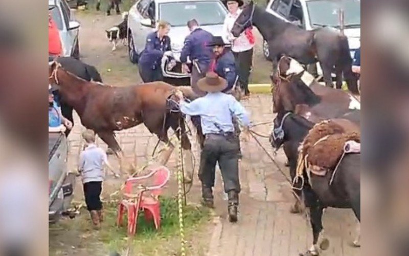 Correria foi grande para salvar os cavalos do ataque de abelhas