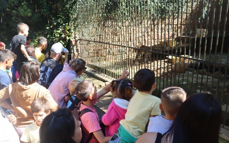 Visitação no Zoo teve ingresso solidário no aniversário