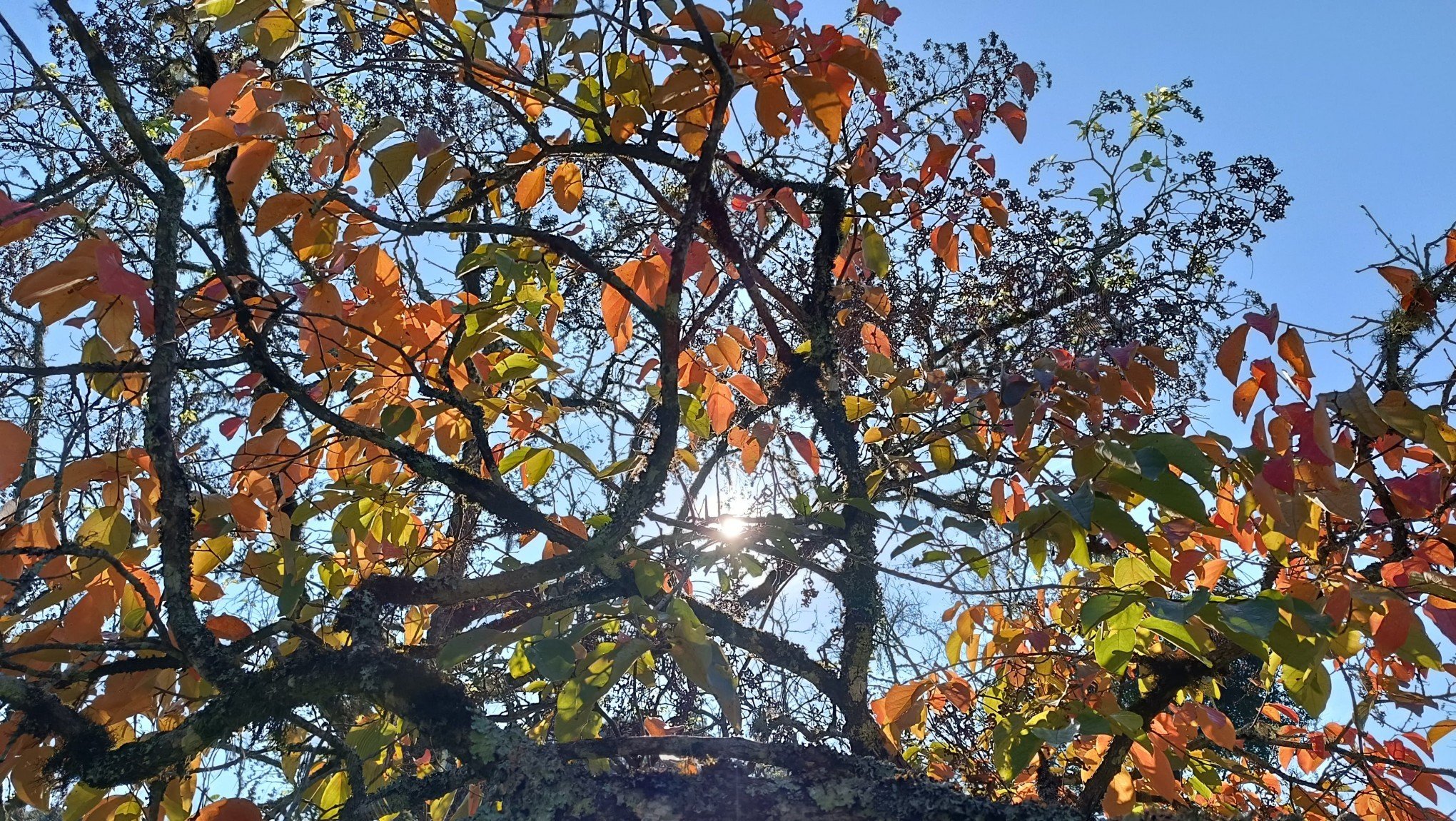 Frio ou veranico? Confira a previsão do tempo para maio e saiba o que esperar