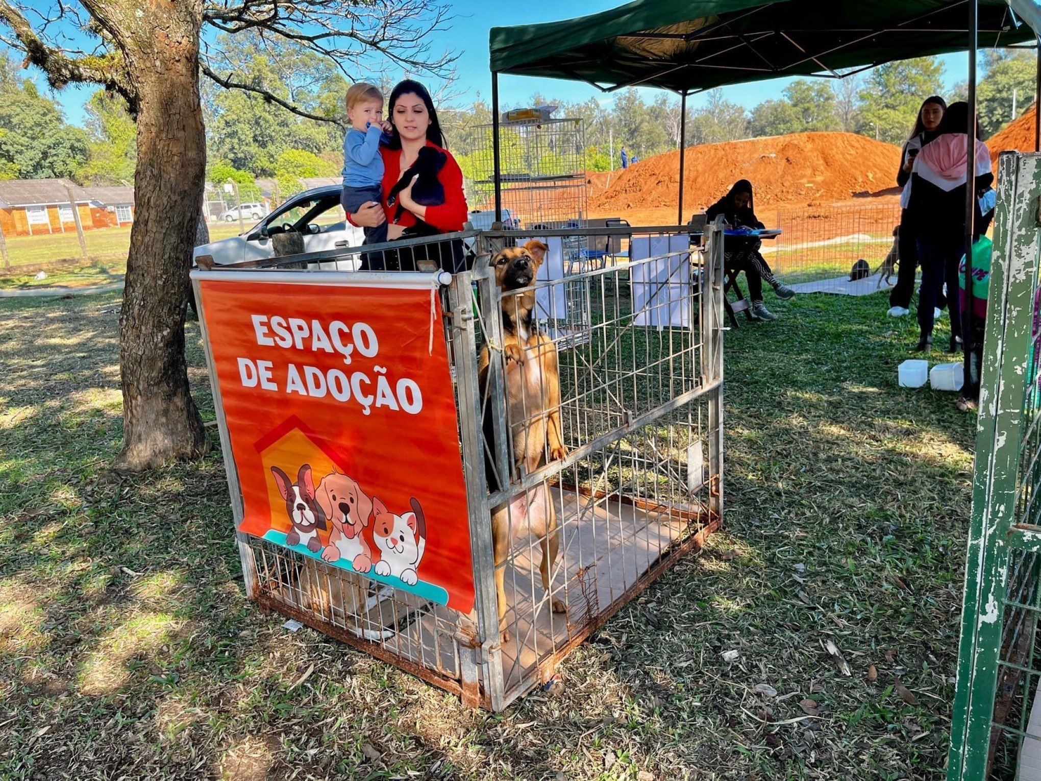 Espaço de adoção no Parque do Trabalhador garante novo lar a 28 animais do Canil