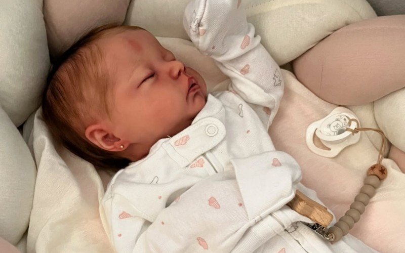Bebês reborn são febre nas redes sociais | abc+