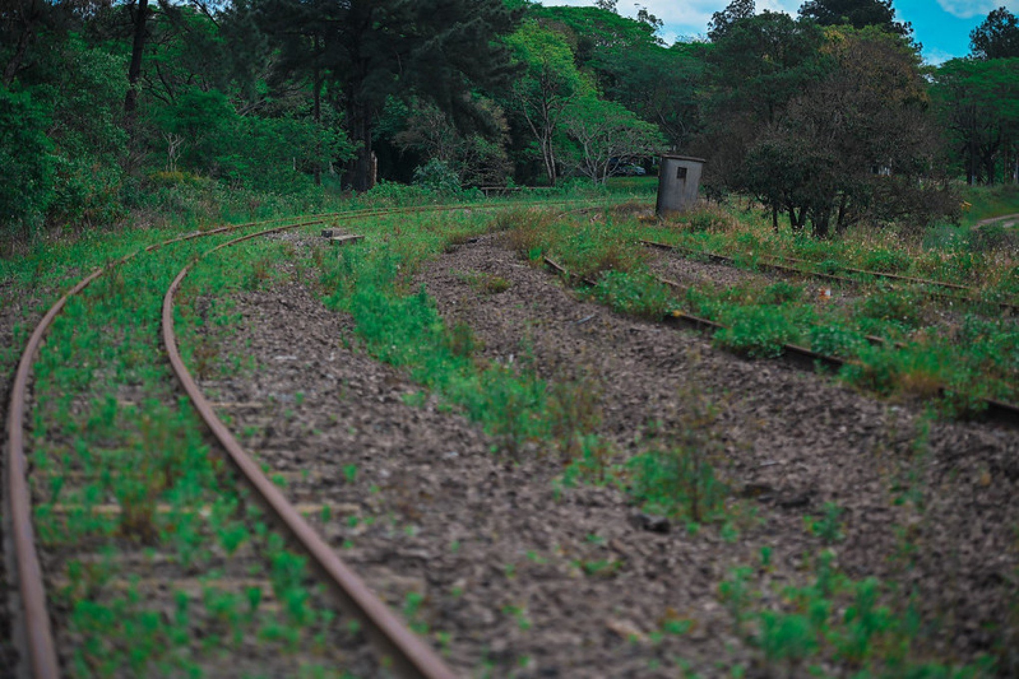 Ministério dos Transportes analisa proposta de renovação da concessão de ferrovias gaúchas por mais 30 anos