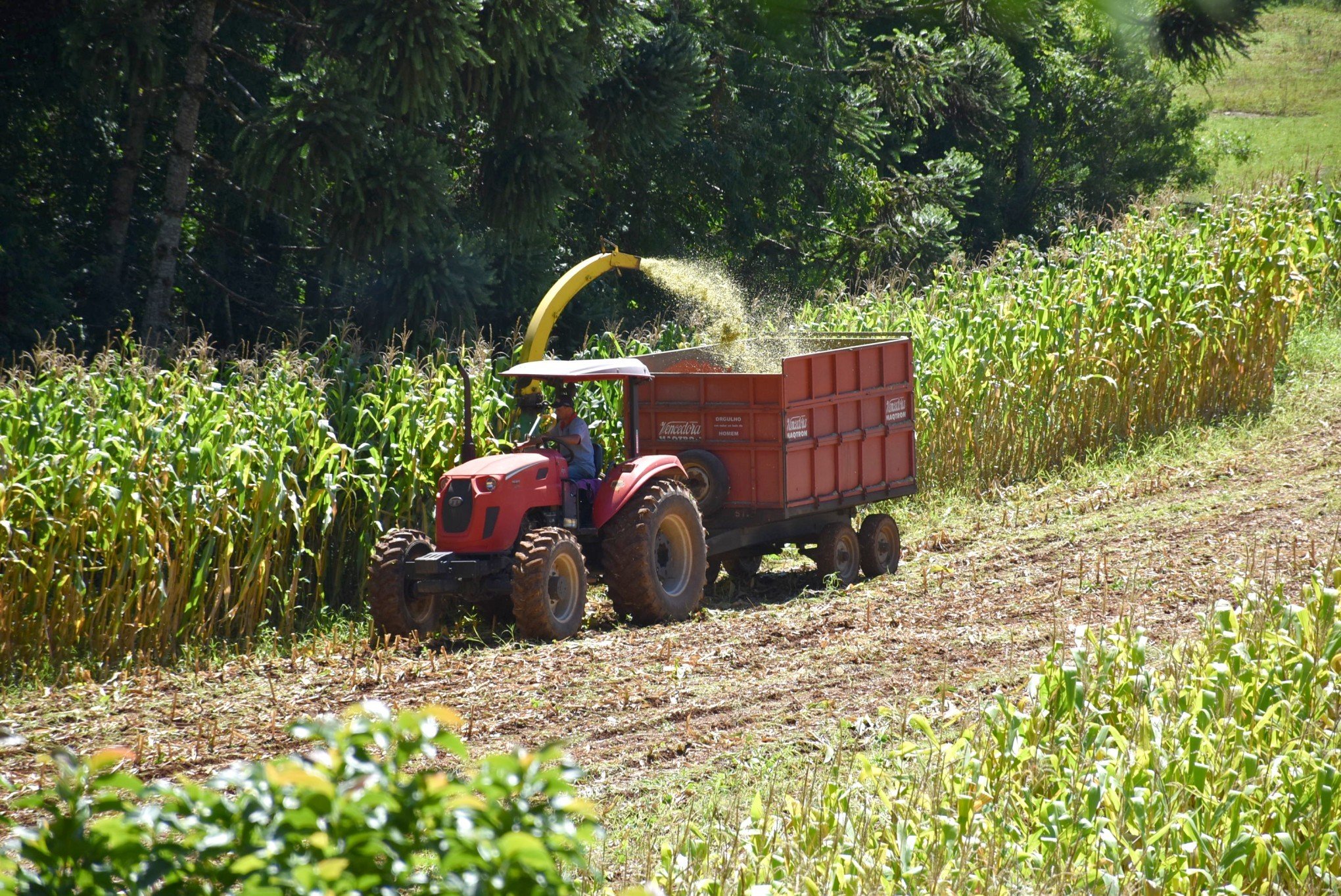 Produtores rurais de Nova Petrópolis podem se inscrever no Programa de Mecanização; crédito chega a R$ 7,5 mil