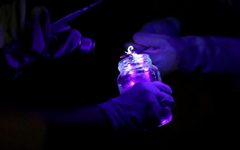 Captura noturna com uso de luz ultravioleta (UV) em Esteio 