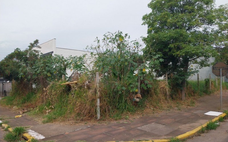 Terreno baldio no bairro Canudos, em Novo Hamburgo | abc+
