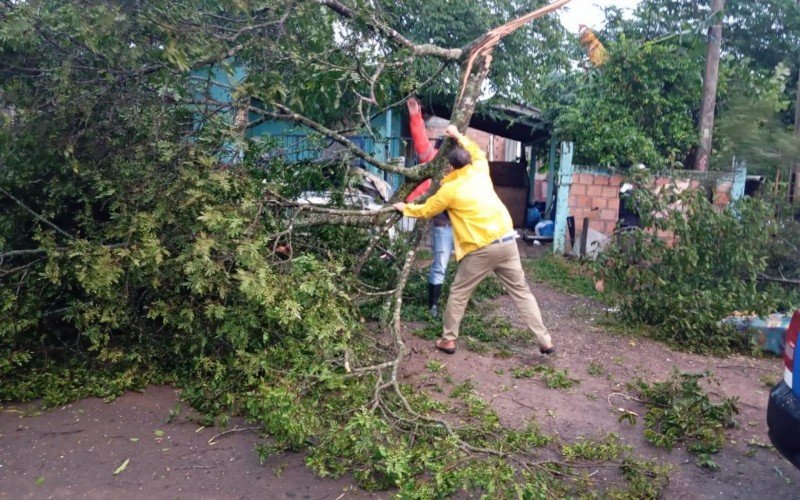 Temporal em Nova Santa Rita causa queda de árvore e destelhamento