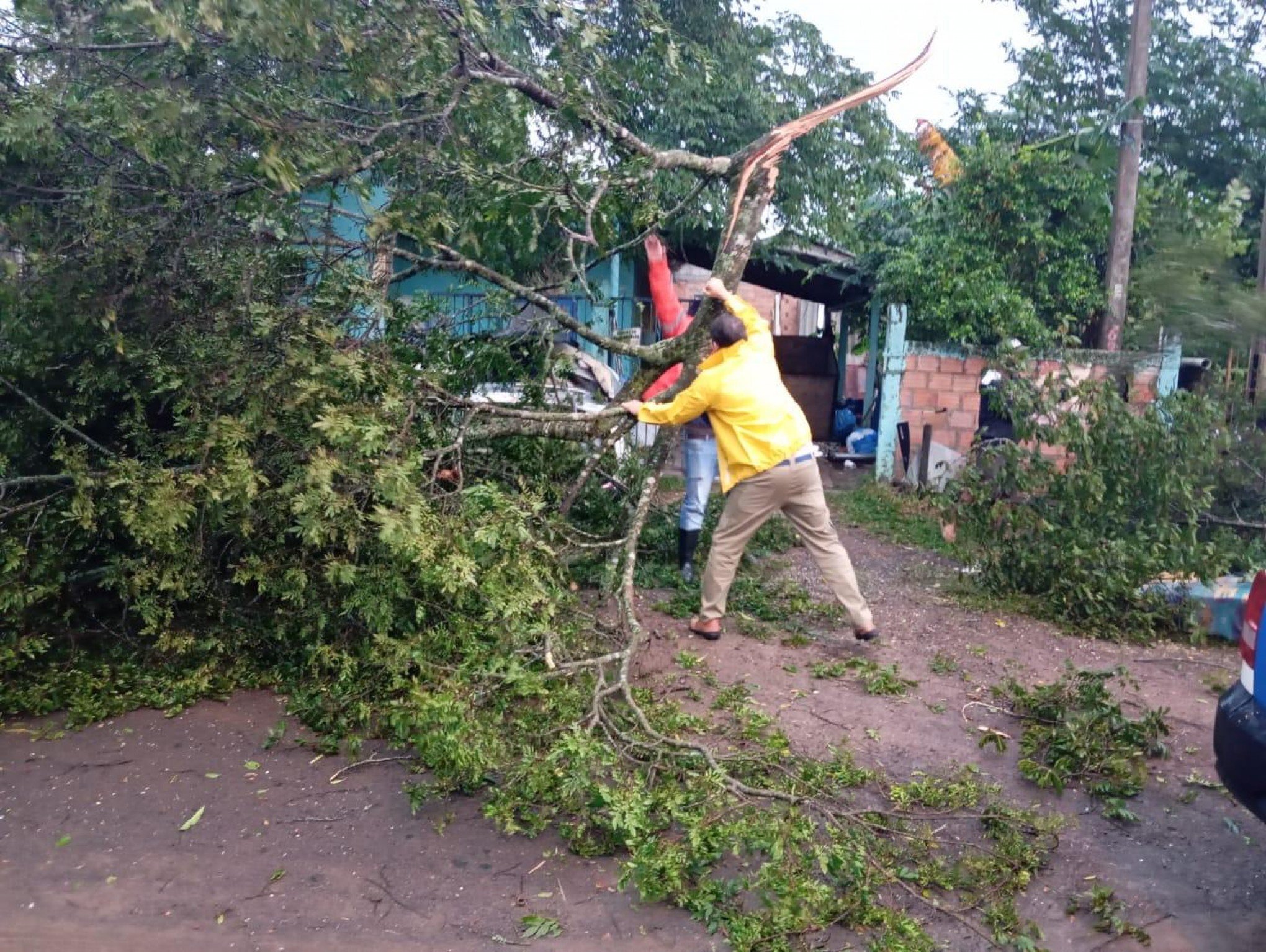 Temporal causa queda de árvore e destelhamento em Nova Santa Rita