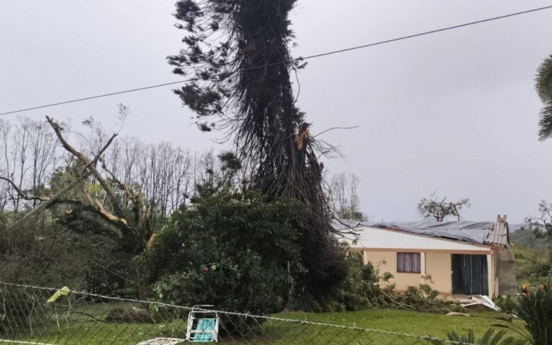 Casas e árvores também foram afetados pelo tornado | abc+