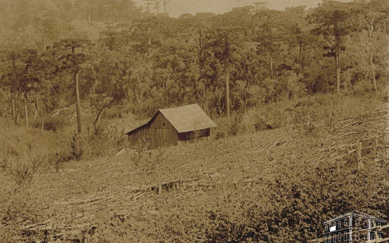 Para imigrantes italianos sobraram as áreas inexploradas na região mais alta do Rio Grande do Sul, hoje a Serra gaúcha | abc+