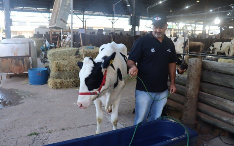 Produtores já se preparam para o início da Fenasul 2025 em Esteio