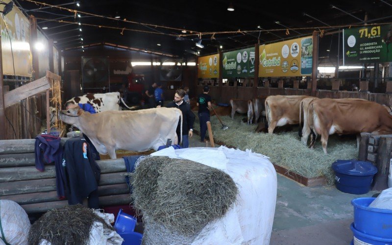 Produtores já se preparam para o início da Fenasul 2025 em Esteio