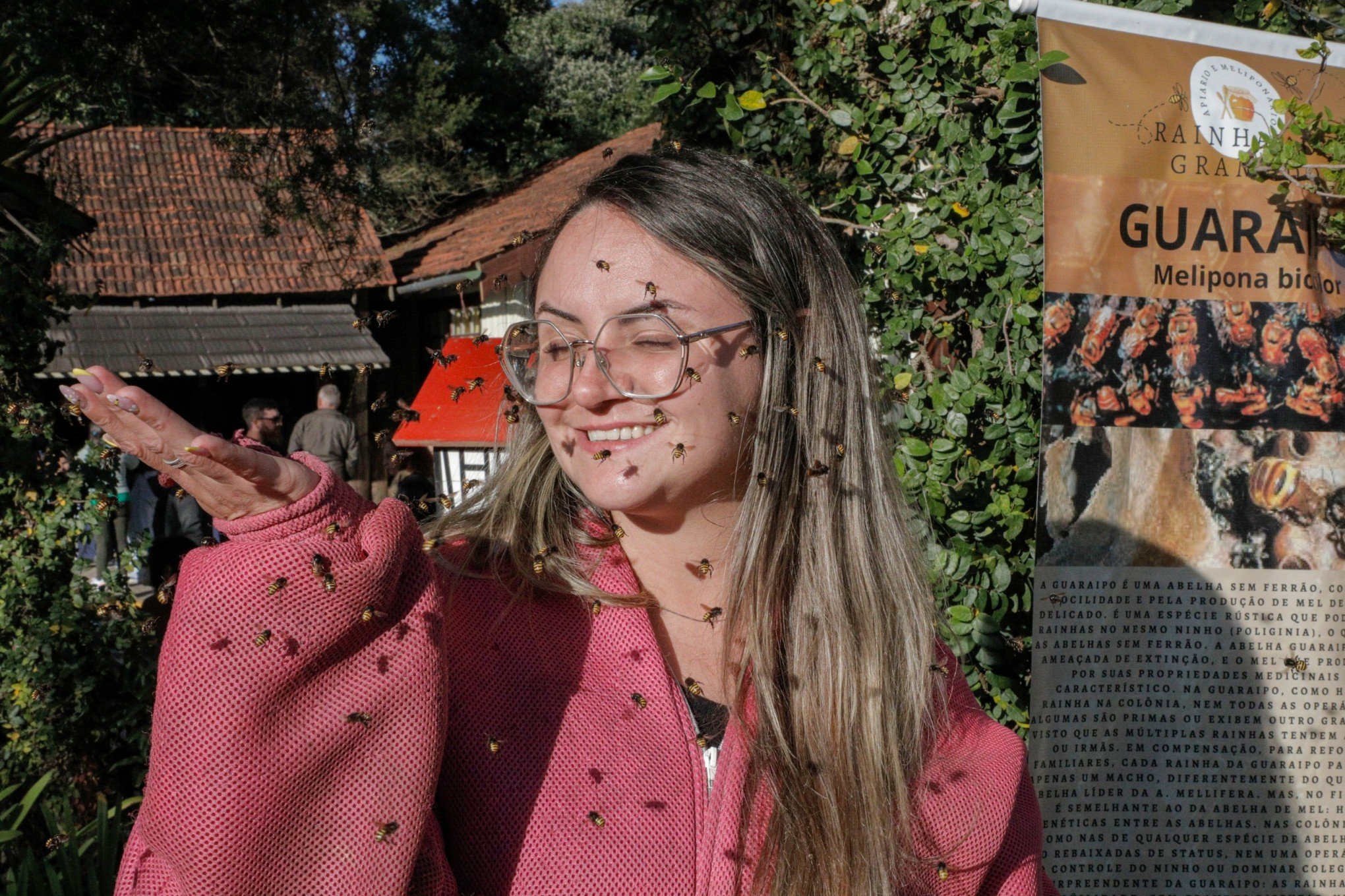 Com possibilidade de criação até em apartamento, produtora de Gramado apresenta curiosidades sobre as abelhas sem ferrão