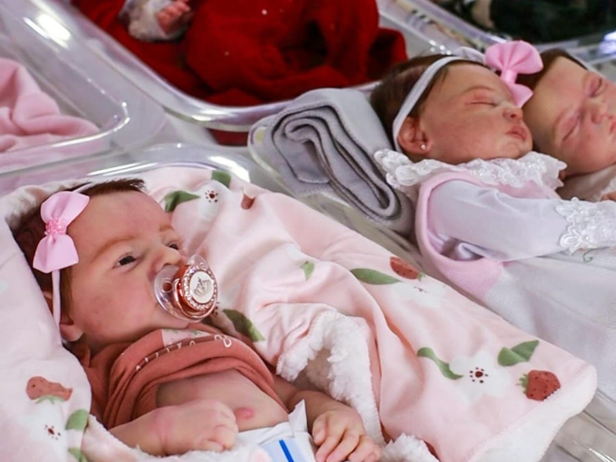 Bebê reborn chega à Assembleia gaúcha com projeto sobre adoção e saúde mental; entenda