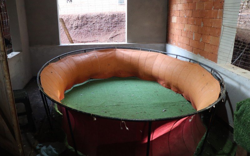 Arena onde as rinhas eram realizadas, dentro de um galpão em terreno de Estância Velha | abc+