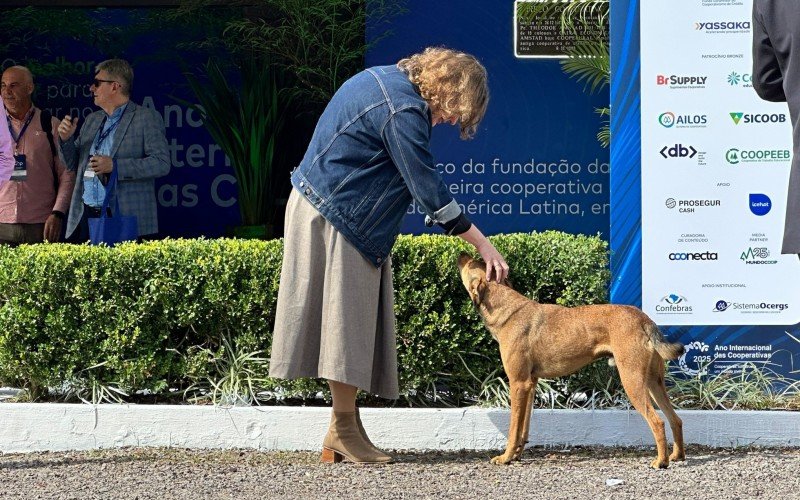 Lado B do Legado Coop 