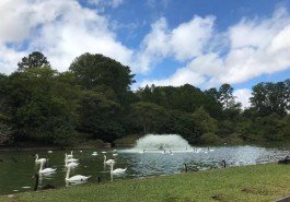 Zoo de Sapucaia do Sul reabre à visitação neste sábado após quase um mês de fechamento preventivo