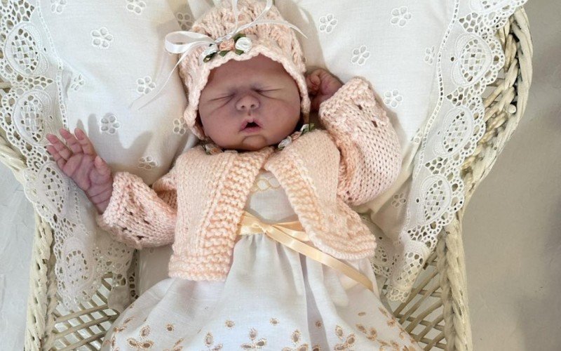Bebê reborn | abc+