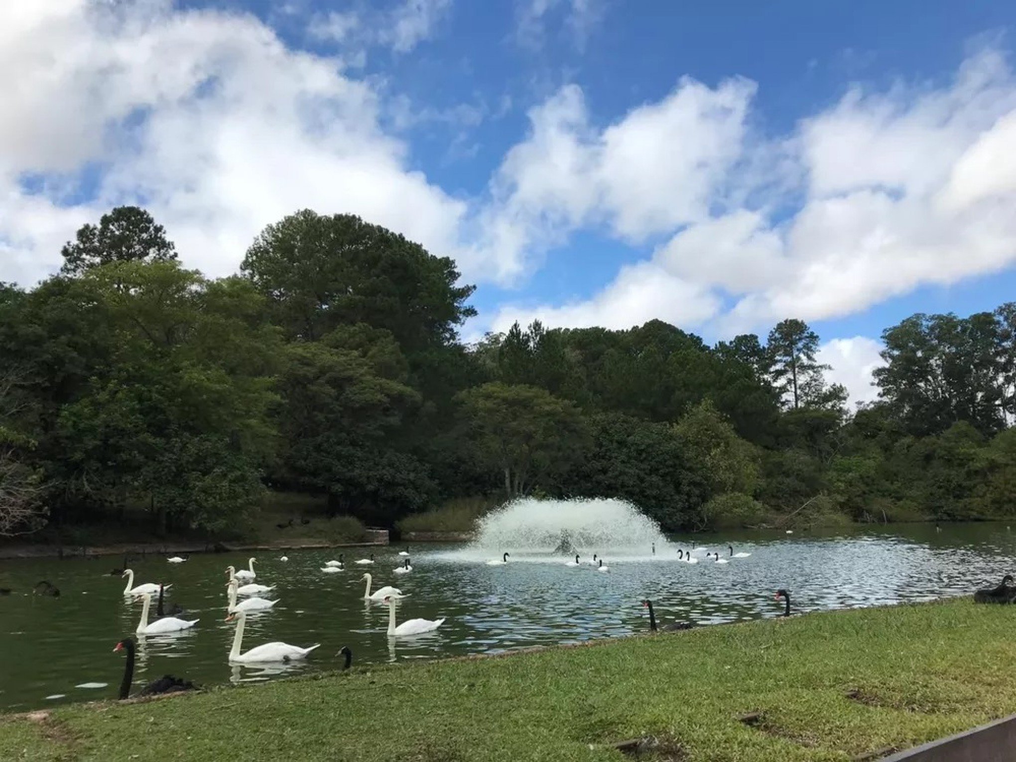 GRIPE AVIÁRIA: Zoo de Sapucaia deve ficar fechado por tempo indeterminado