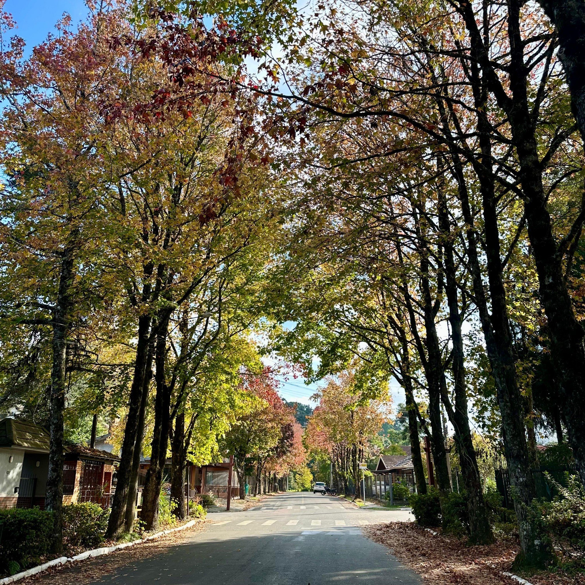 Gramado celebra as belezas do outono com festival de música e arte neste final de semana