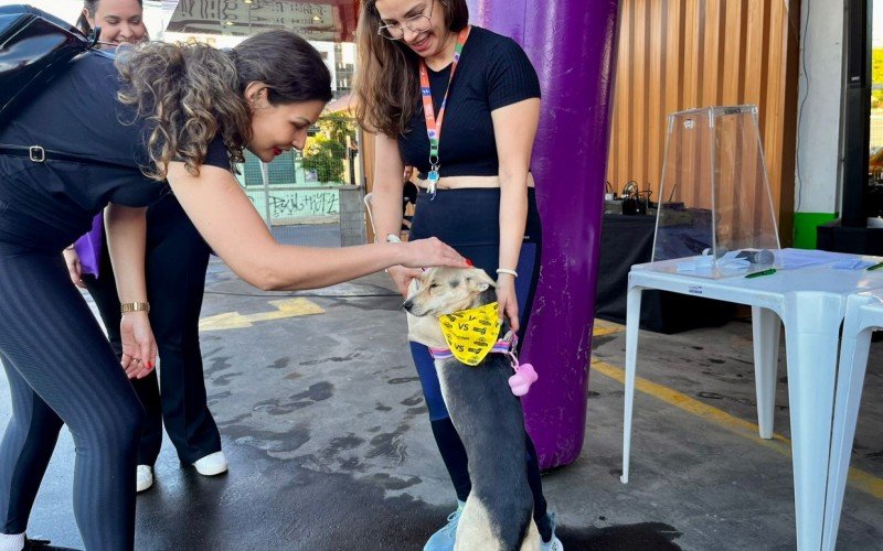 Cãominhada ocorreu na manhã deste domingo (18), em São Leopoldo 