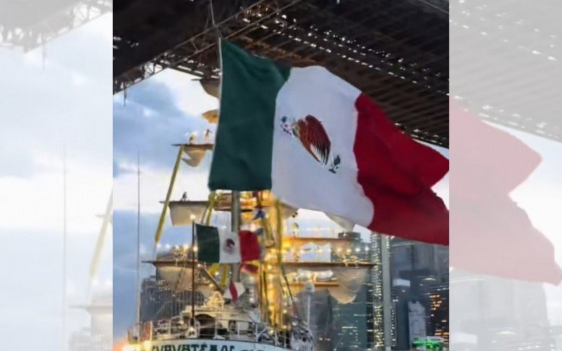 Navio da Marinha do México colidiu em ponte nos Estados Unidos | abc+