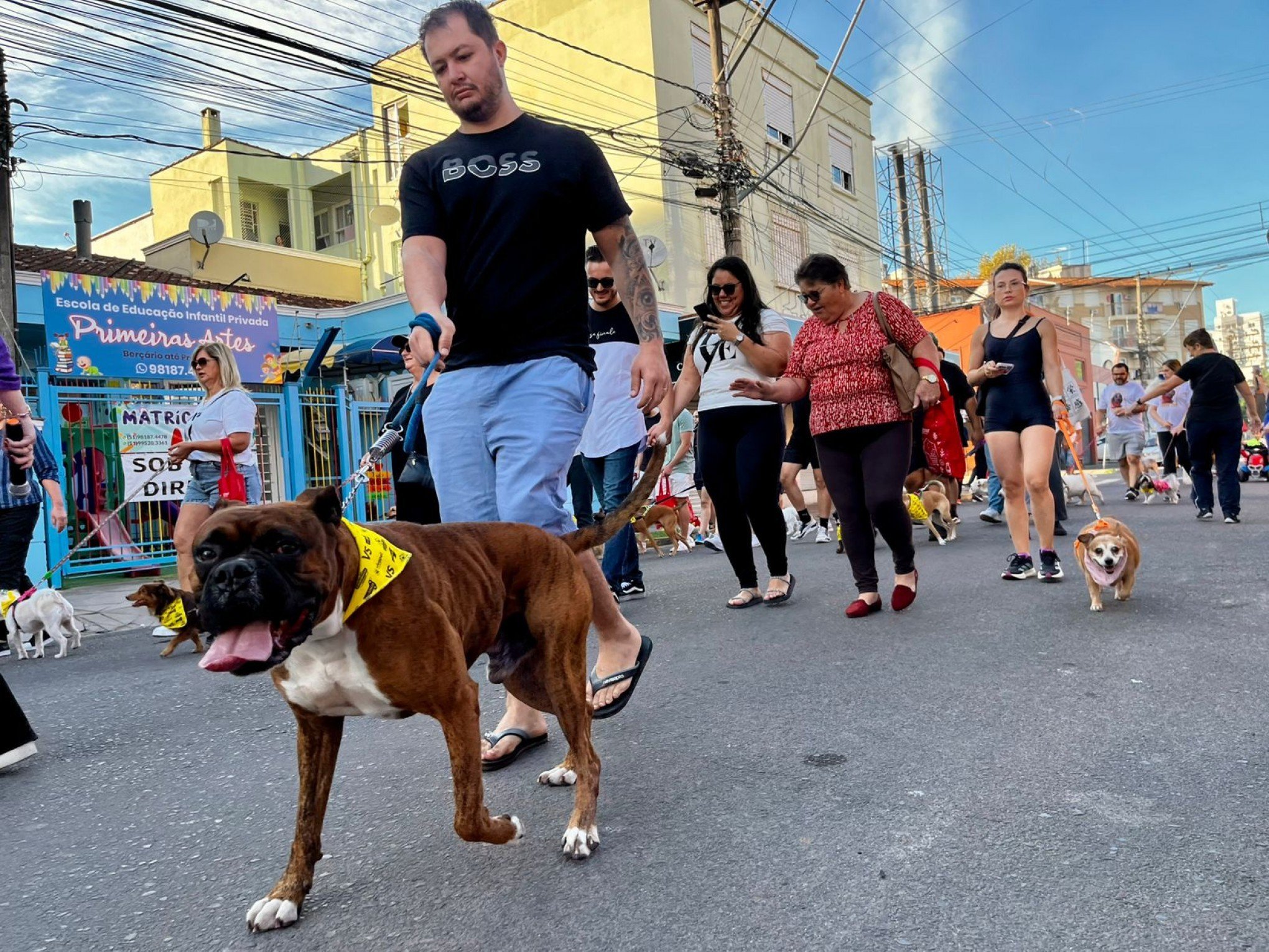 Cãominhada reuniu tutores e pets neste domingo em São Leopoldo; veja como foi