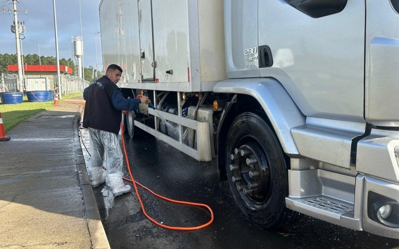 GRIPE AVIÁRIA: Caminhão com mais de 300 galinhas é abordado em barreira sanitária na BR-386; saiba o que vai acontecer com animais | abc+